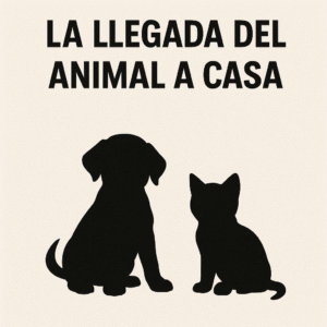 Primera visita del cachorro